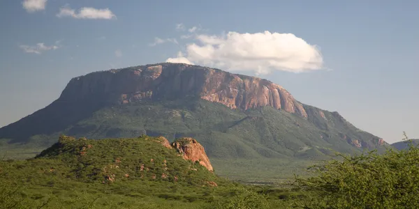 Samburu