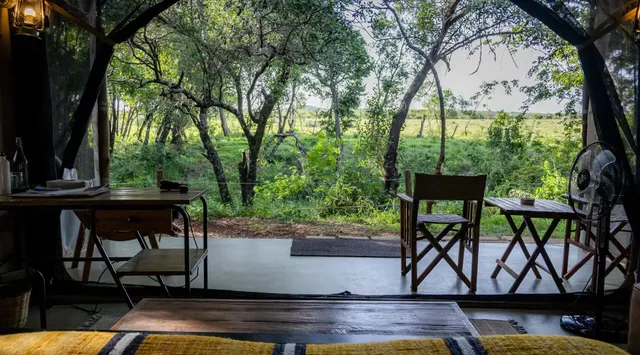 Lerai Safari Camp photo 2