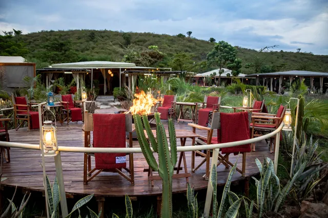 Zebra Plains Mara Camp photo 8